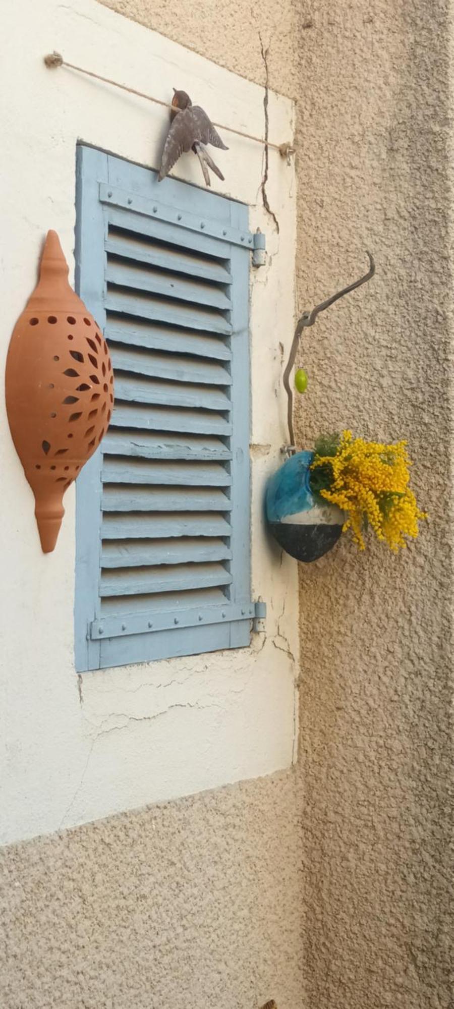 Maison Rulman Nîmes Esterno foto